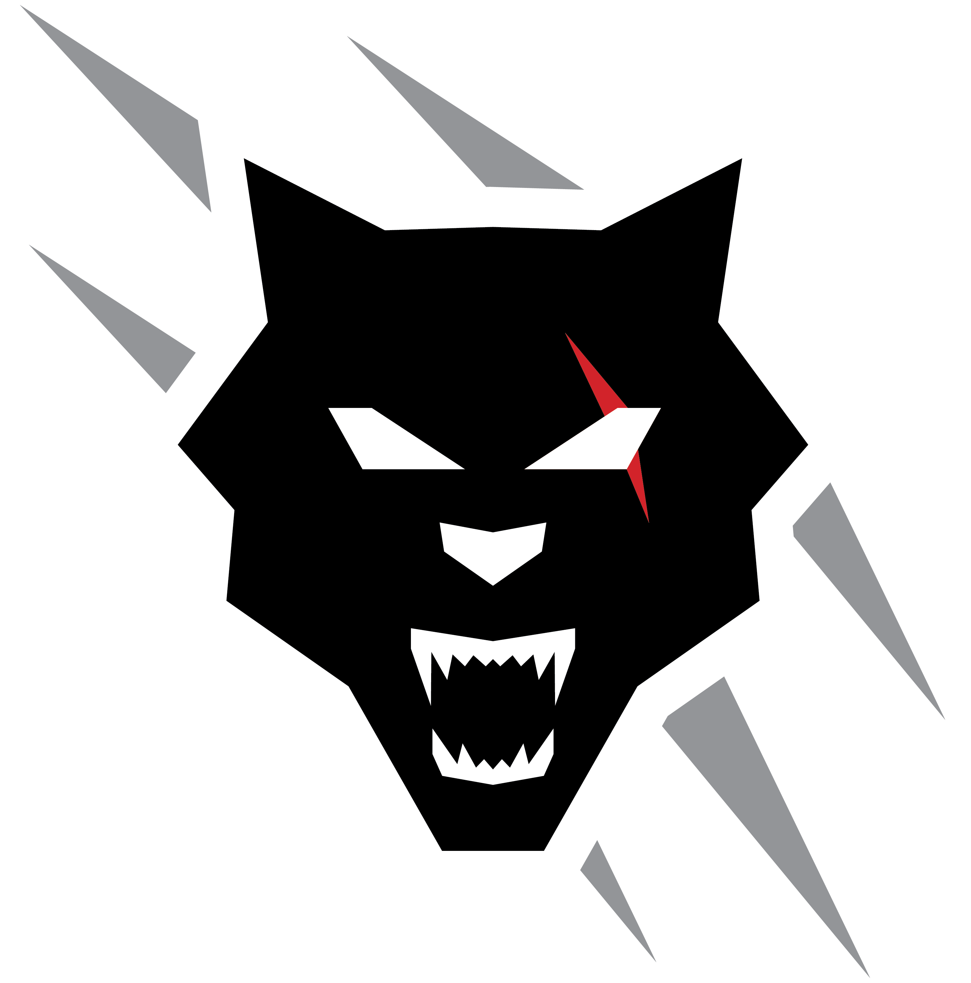 Pacbrake Wolf Logo